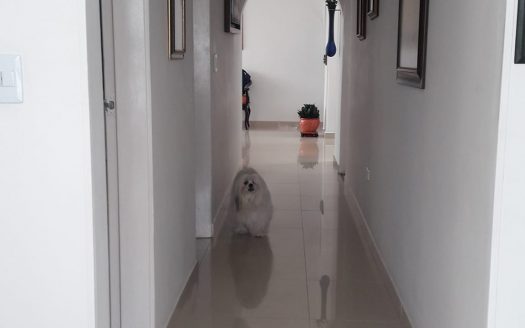 VIVIENDA FAMILIAR ESTUDIANTE UNIVERSITARIA